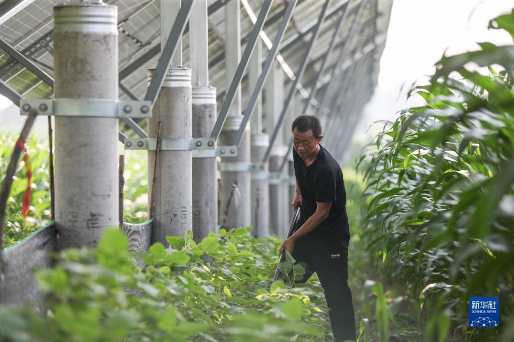 娱乐国际网址