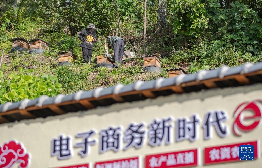 ag金龙珠怎么爆